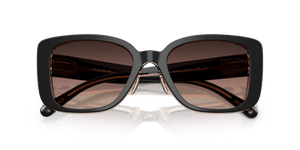 Black/Blush / Brown Purple Gradient (5781E2)