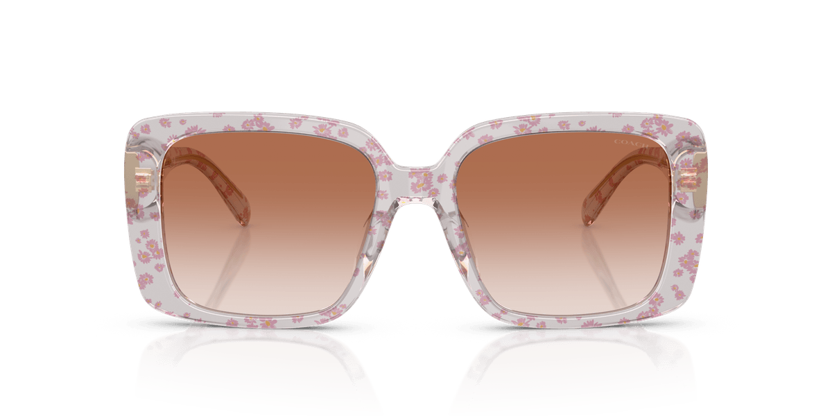 Coach CAD54 HC8424U