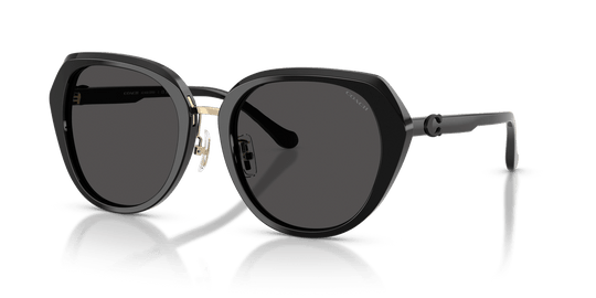 Coach CBY93 HC8436 - Black / Grey Solid