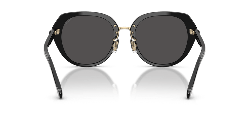 Coach CBY93 HC8436 in Black / Grey Solid - Back View