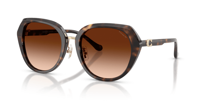 Coach CBY93 HC8436 in Dark Tortoise / Brown Gradient - Alternate View