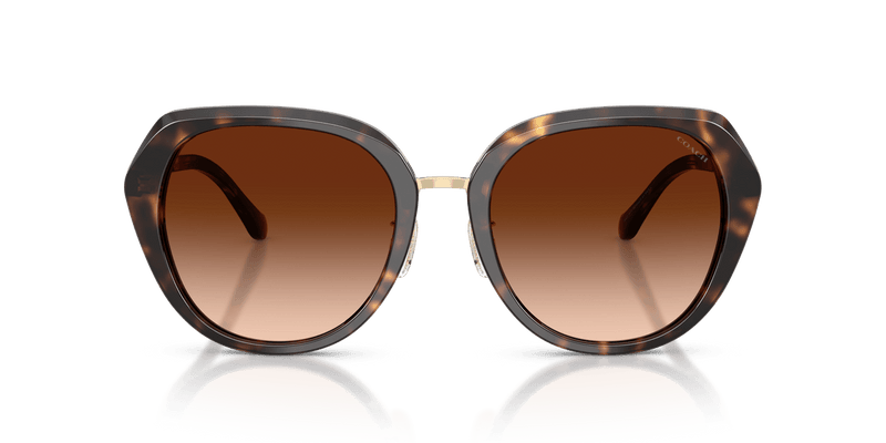 Coach CBY93 HC8436 in Dark Tortoise / Brown Gradient - Alternate View