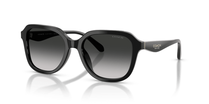 Coach CBY89 HC8437F in Black / Grey Gradient - Front View