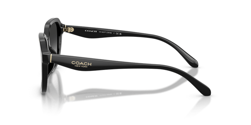 Coach CBY89 HC8437F in Black / Grey Gradient - Side View