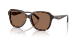 Dark Tortoise / Brown Solid