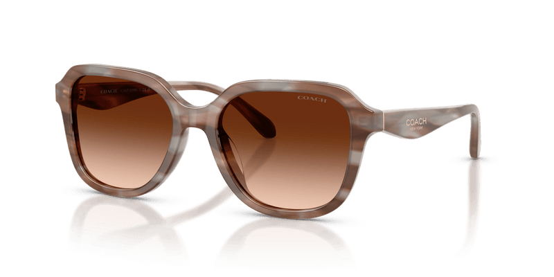 Coach CBY89 HC8437F in Striated Redwood/Maple / Brown Gradient - Alternate View
