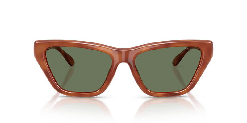 Coach CDP33 HC8449U in Caramel Tortoise / Green Solid (577482) - Alternate View