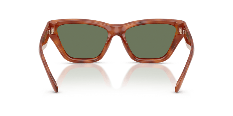 Coach CDP33 HC8449U in Caramel Tortoise / Green Solid (577482) - Alternate View