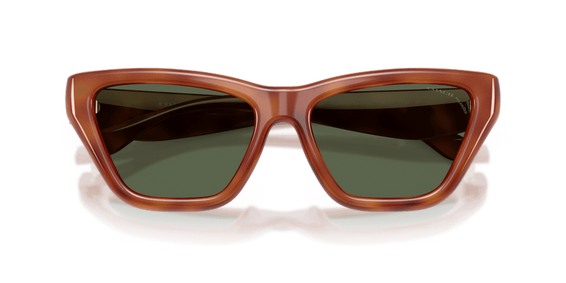 Coach CDP33 HC8449U in Caramel Tortoise / Green Solid Polarized (57749A) - Alternate View