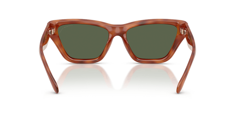 Coach CDP33 HC8449U in Caramel Tortoise / Green Solid Polarized (57749A) - Alternate View