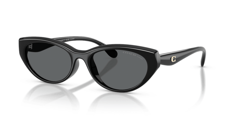 Coach CDP42 HC8456D in Black / Grey Solid Polarized (500281) - Alternate View