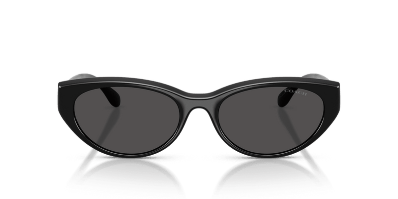 Coach CDP42 HC8456D in Black / Grey Solid (500287) - Alternate View