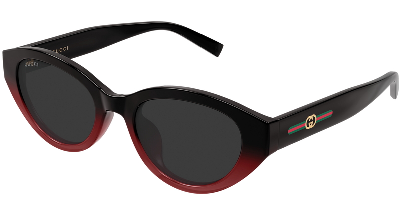 Gucci GG2105SA Sunglasses in Havana (003) - Back View