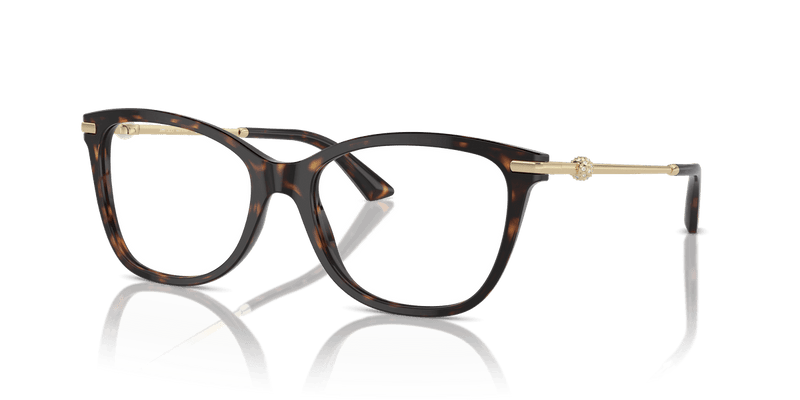 Jimmy Choo JC3007HB in Havana / Demo Lens - Alternate View