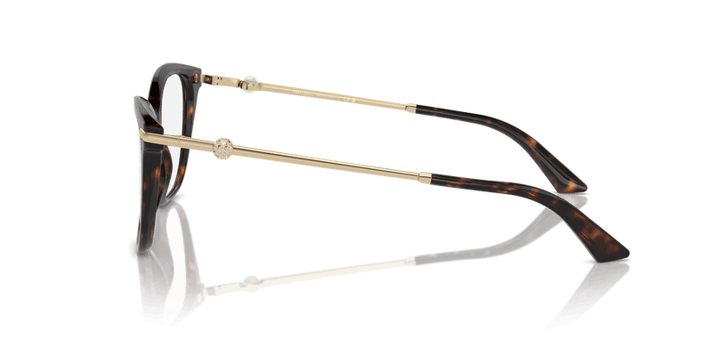 Jimmy Choo JC3007HB in Havana / Demo Lens - Alternate View
