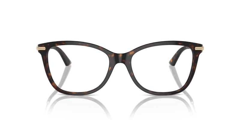 Jimmy Choo JC3007HB in Havana / Demo Lens - Alternate View