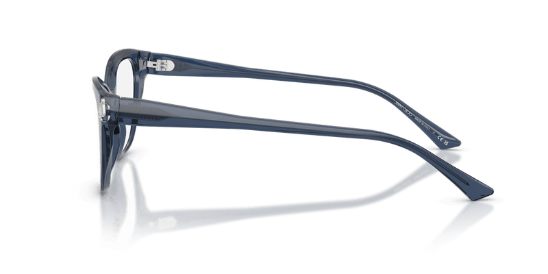 Jimmy Choo JC3011 in Transparent Navy (5035) - Alternate View