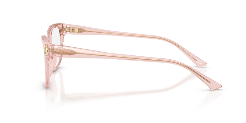 Jimmy Choo JC3012 in Transparent Pink (5034) - Temple Detail