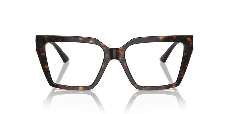 Jimmy Choo JC3017U in Havana / Demo Lens - Alternate View