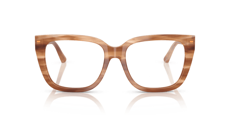 Jimmy Choo JC3019B in Striped Havana Glitter Brown (5055) - Alternate View