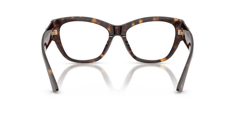 Jimmy Choo JC3033BU in Havana / Demo Lens - Alternate View