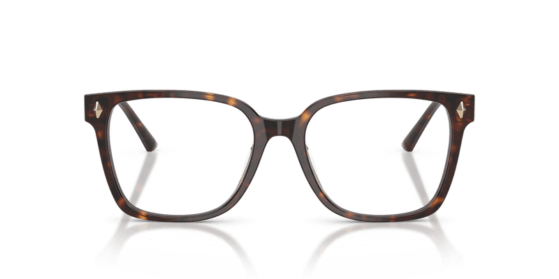 Jimmy Choo JC3038D in Havana / Demo Lens - Temple Detail