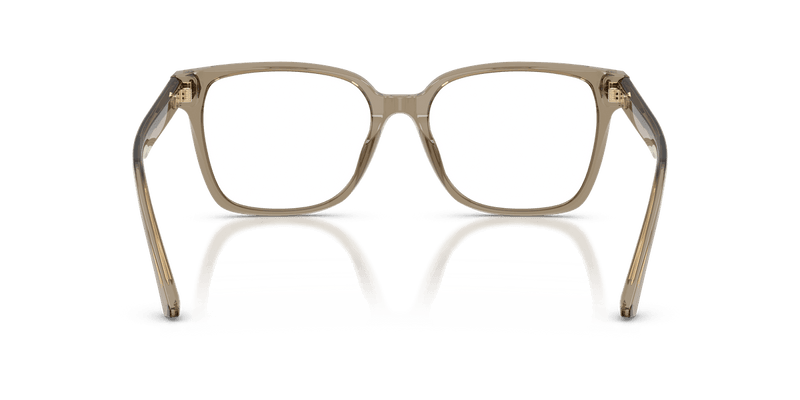 Jimmy Choo JC3038D in Transparent Brown / Demo Lens - Alternate View