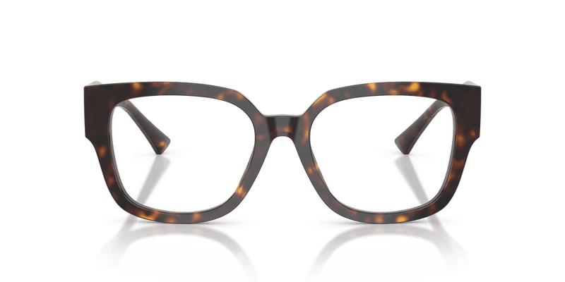 Jimmy Choo JC3042BF in Havana (5002) - Alternate View