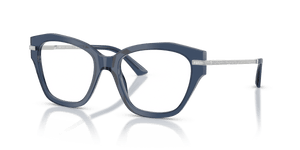 Transparent Navy / Demo Lens