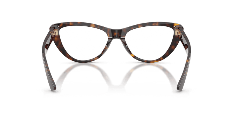 Jimmy Choo JC3044HU in Havana / Demo Lens - Alternate View