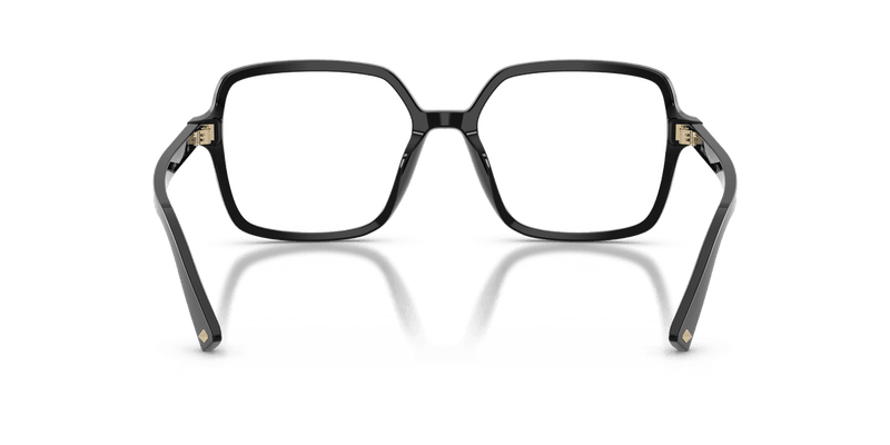 Jimmy Choo JC3046U in Black / Demo Lens - Back View