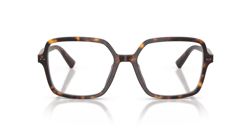 Jimmy Choo JC3046U in Havana / Demo Lens - Alternate View