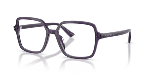 Transparent Prune / Demo Lens