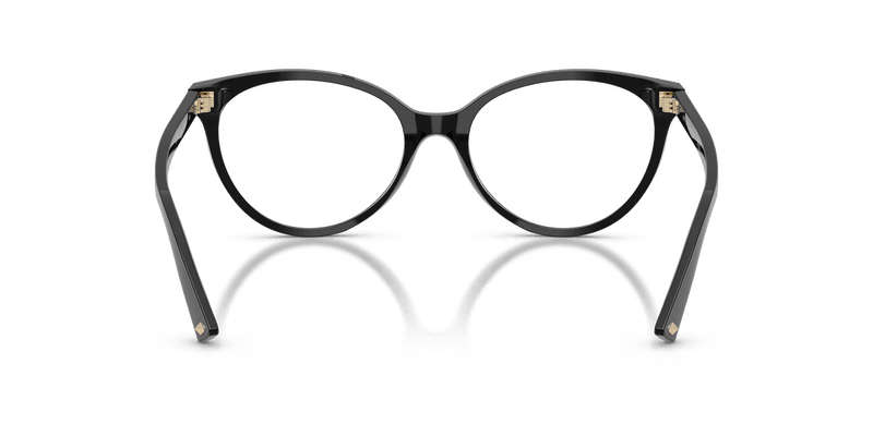Jimmy Choo JC3047 in Black / Demo Lens - Back View