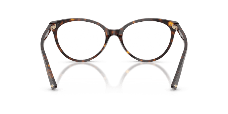 Jimmy Choo JC3047 in Havana / Demo Lens - Alternate View