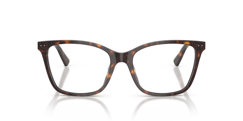 Jimmy Choo JC3048U in Havana / Demo Lens - Alternate View