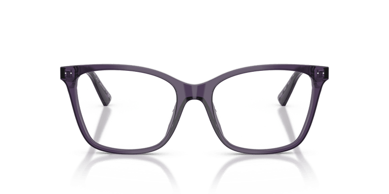 Jimmy Choo JC3048U in Transparent Prune / Demo Lens - Alternate View