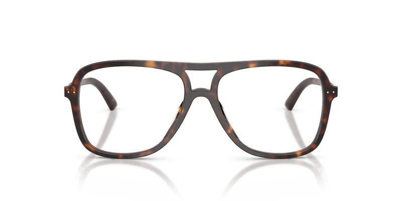 Jimmy Choo JC3052U in Havana (5002) - Alternate View