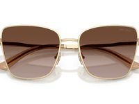 Pale Gold / Gradient Brown (300613)