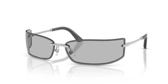 Silver / Light Grey (300287)