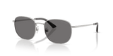 Silver / Dark Grey Polarized (300281)