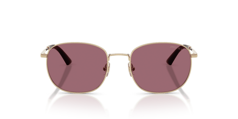 Jimmy Choo JC4025B in Pale Gold / Violet (30061A) - Alternate View