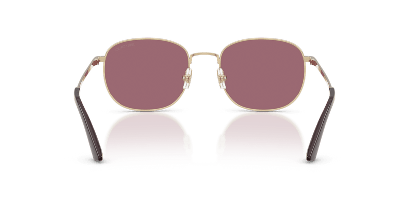 Jimmy Choo JC4025B in Pale Gold / Violet (30061A) - Alternate View