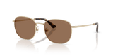 Pale Gold / Dark Brown (300673)