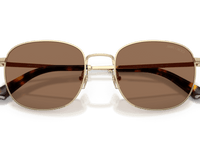 Pale Gold / Dark Brown (300673)