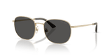Pale Gold / Dark Grey (300687)