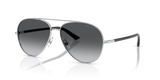 Silver / Polarized Gradient Grey (3002T3)