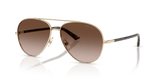 Pale Gold / Brown Gradient (300613)