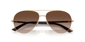 Pale Gold / Brown Gradient (300613)