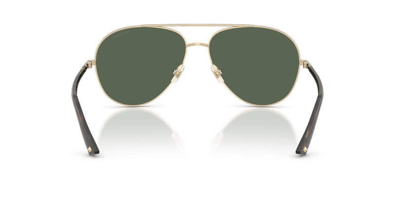 Jimmy Choo JC4026 in Pale Gold / Dark Green (300671) - Alternate View